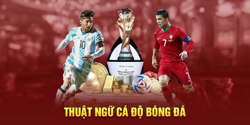 Thuật Ngữ Cá Độ Bóng Đá - Bước Đệm Hoàn Hảo Cho Người Mới